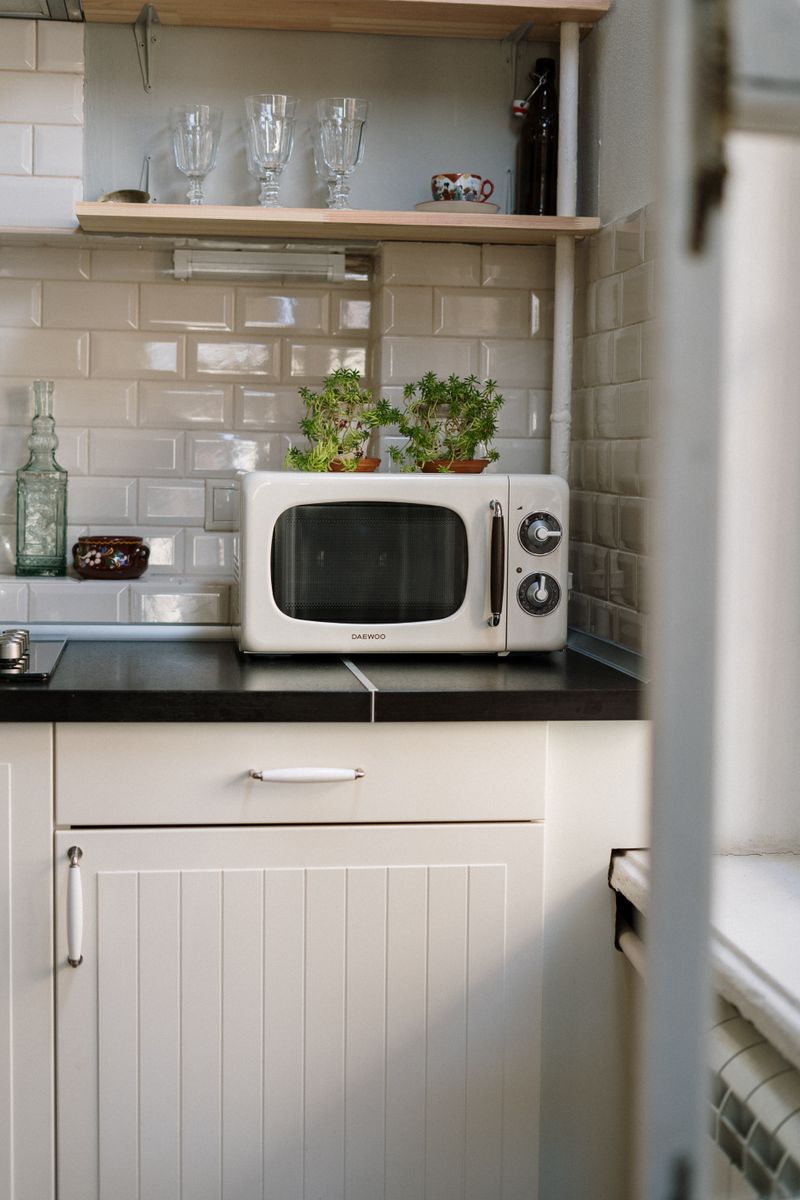Microwave / Oven